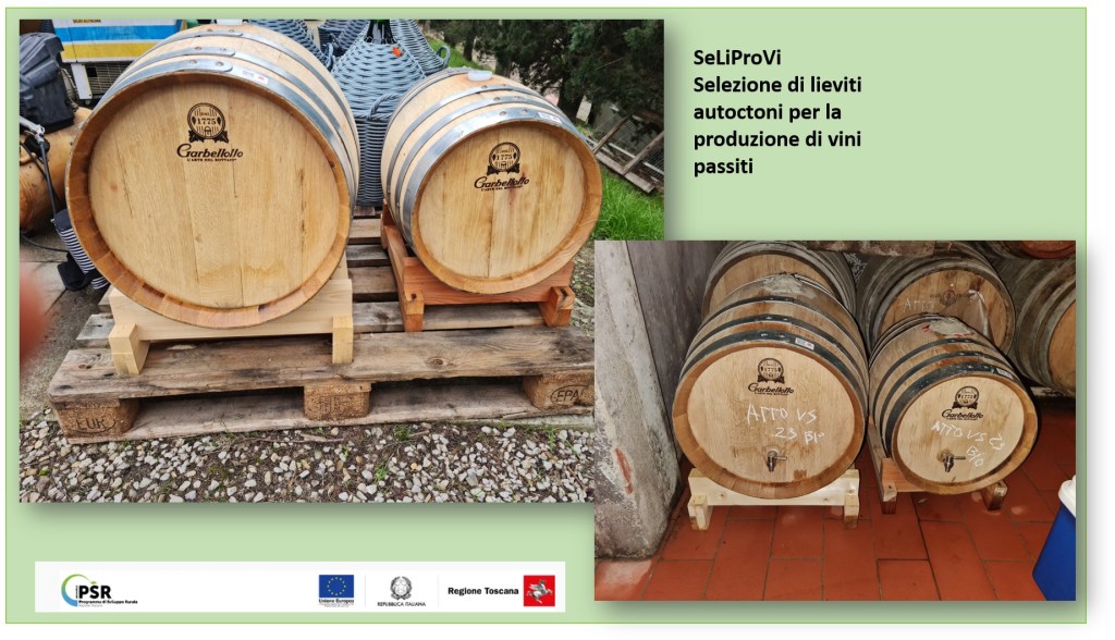 Monitoraggio delle fermentazioni